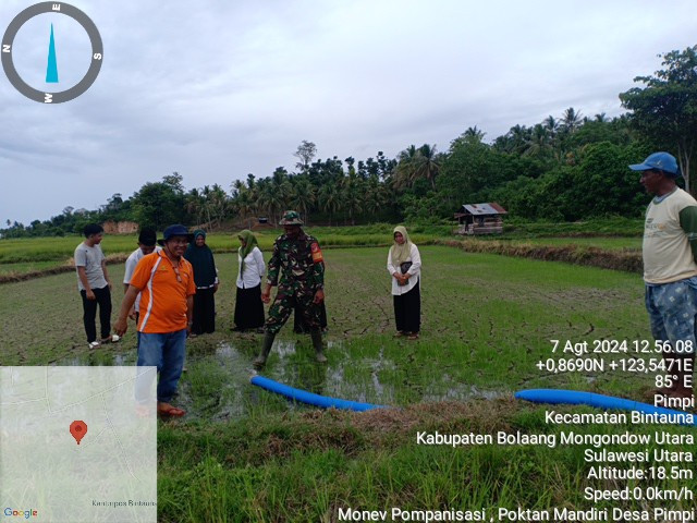 Program Pompanisasi di Bolmut Tingkatkan IP, Dorong Produktivitas Pertanian 