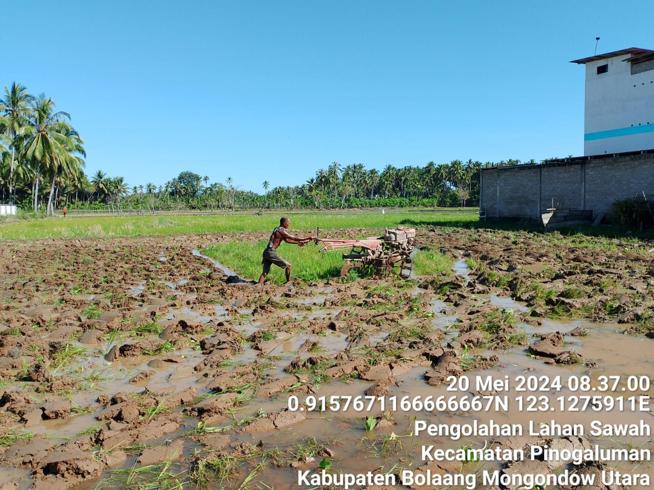 BUDIDAYA PADI SAWAH - SISTEM PENGOLAHAN TANAH