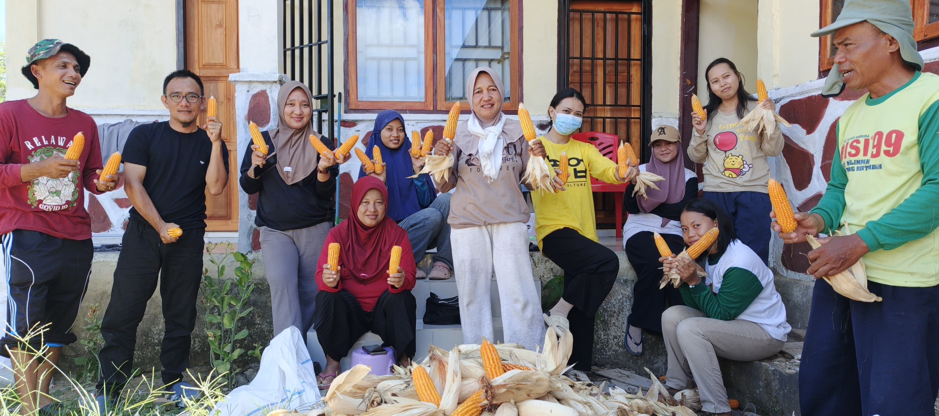 Inspirasi Menanam Jagung dari Demplot BPP Sangkup