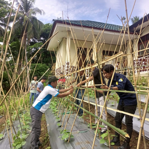 Demplot Hortikultura Kampanyekan Diversifikasi Usaha Tani di Boltim