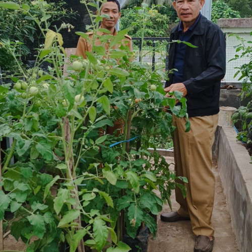 Seni Menanam Hortikultura ala BPP Kaidipang