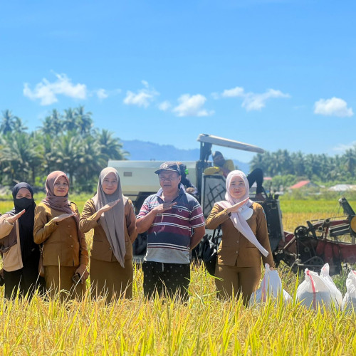 Tanam Padi Mekongga, Petani Pinogaluman Panen 6 Ton/Ha