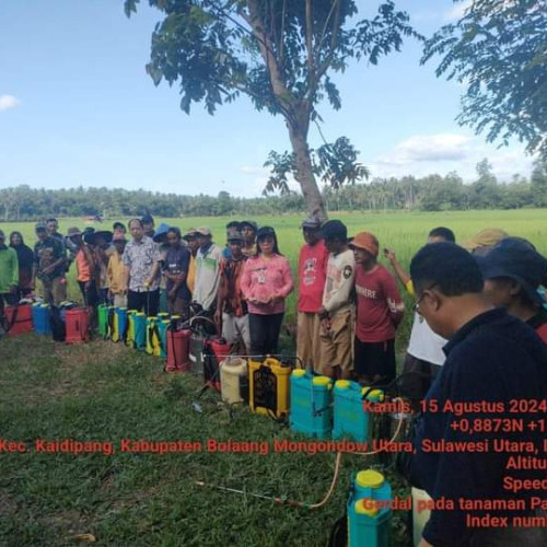 Aplikasi Pestisida Biologi, Berantas Hama Tanaman Padi 