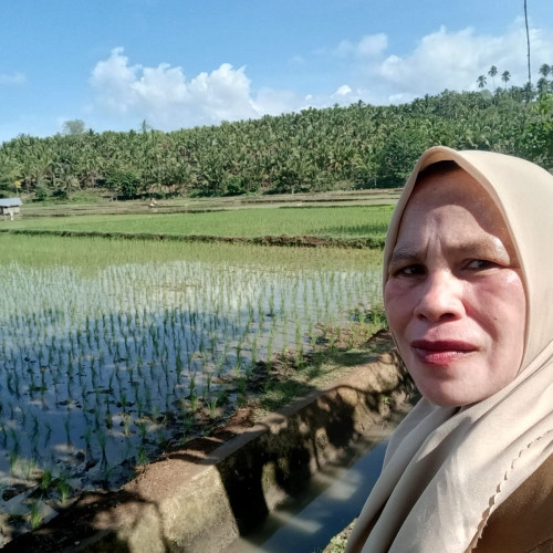 POLA TANAM JAJAR LEGOWO PADA TANAMAN PADI SAWAH