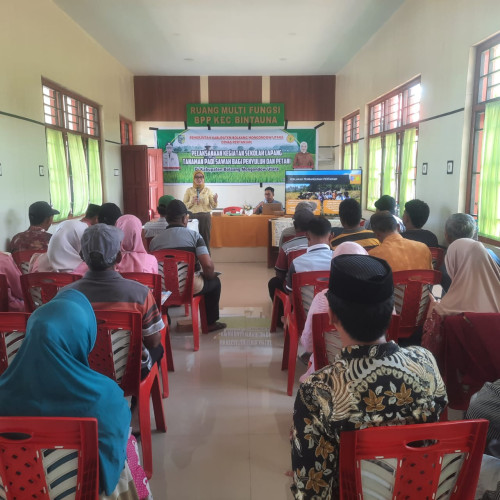 SL Padi Sawah Tingkatkan Kualitas Bertani di Bolmut